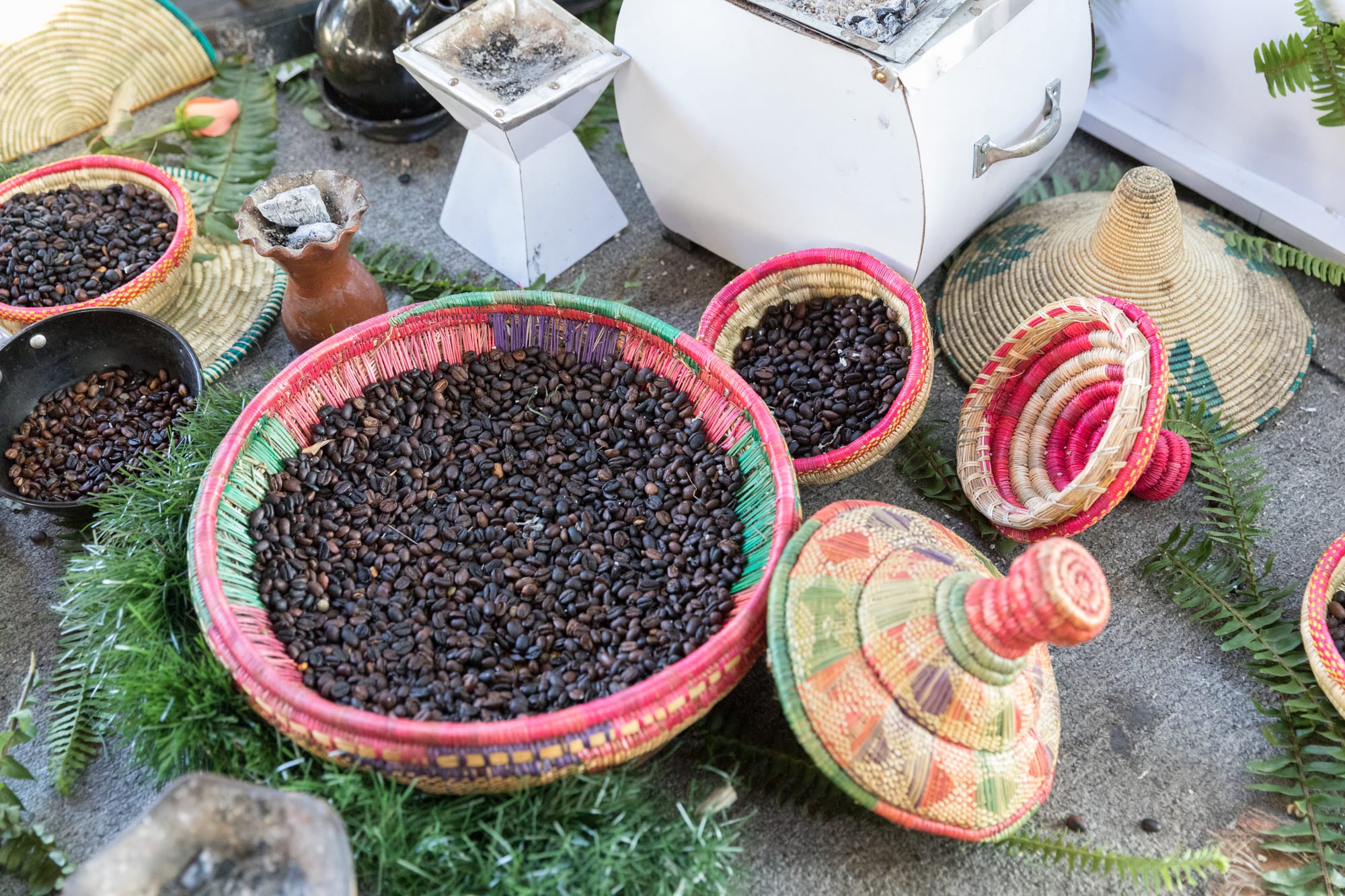 Coffee farms, highland roads, farmer stories, and tasting language