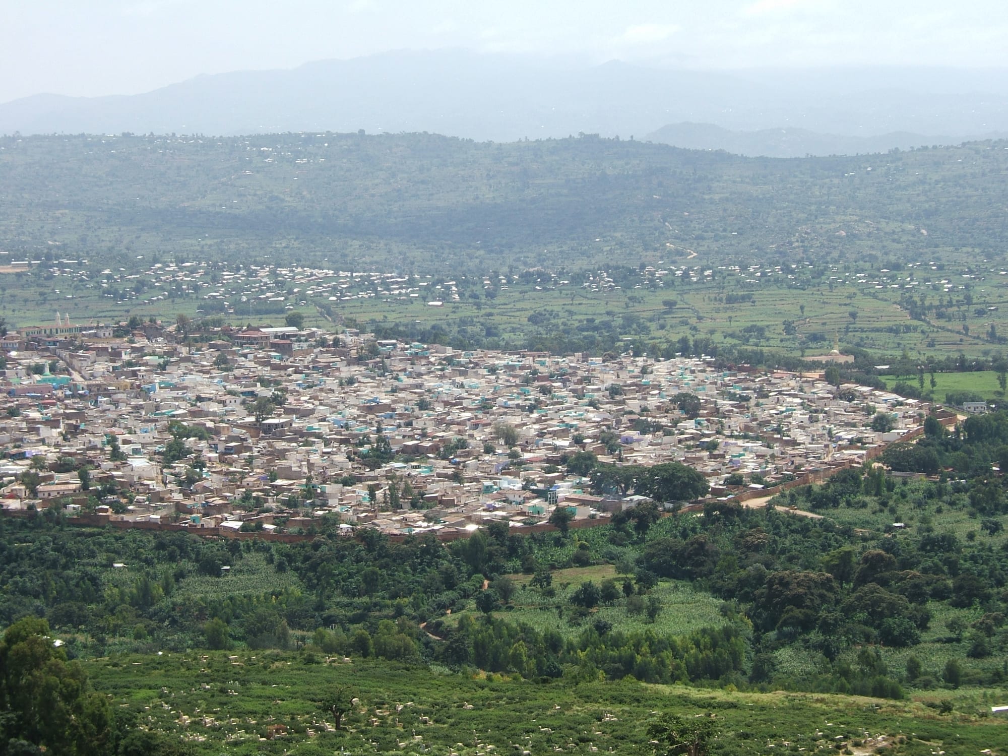 Walled city, markets, alleys, coffee, and hyena-feeding traditions