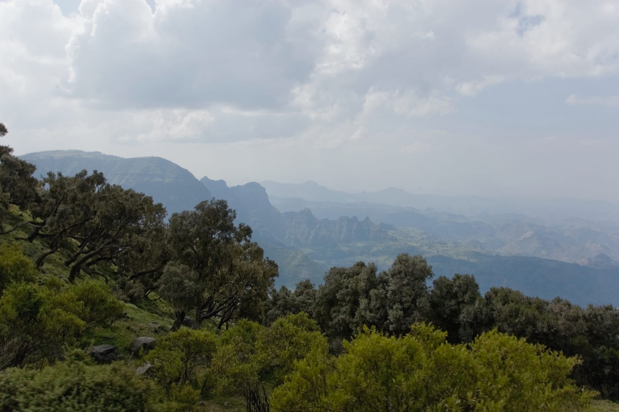 Cliff views, trekking routes, wildlife, altitude, and guide safety