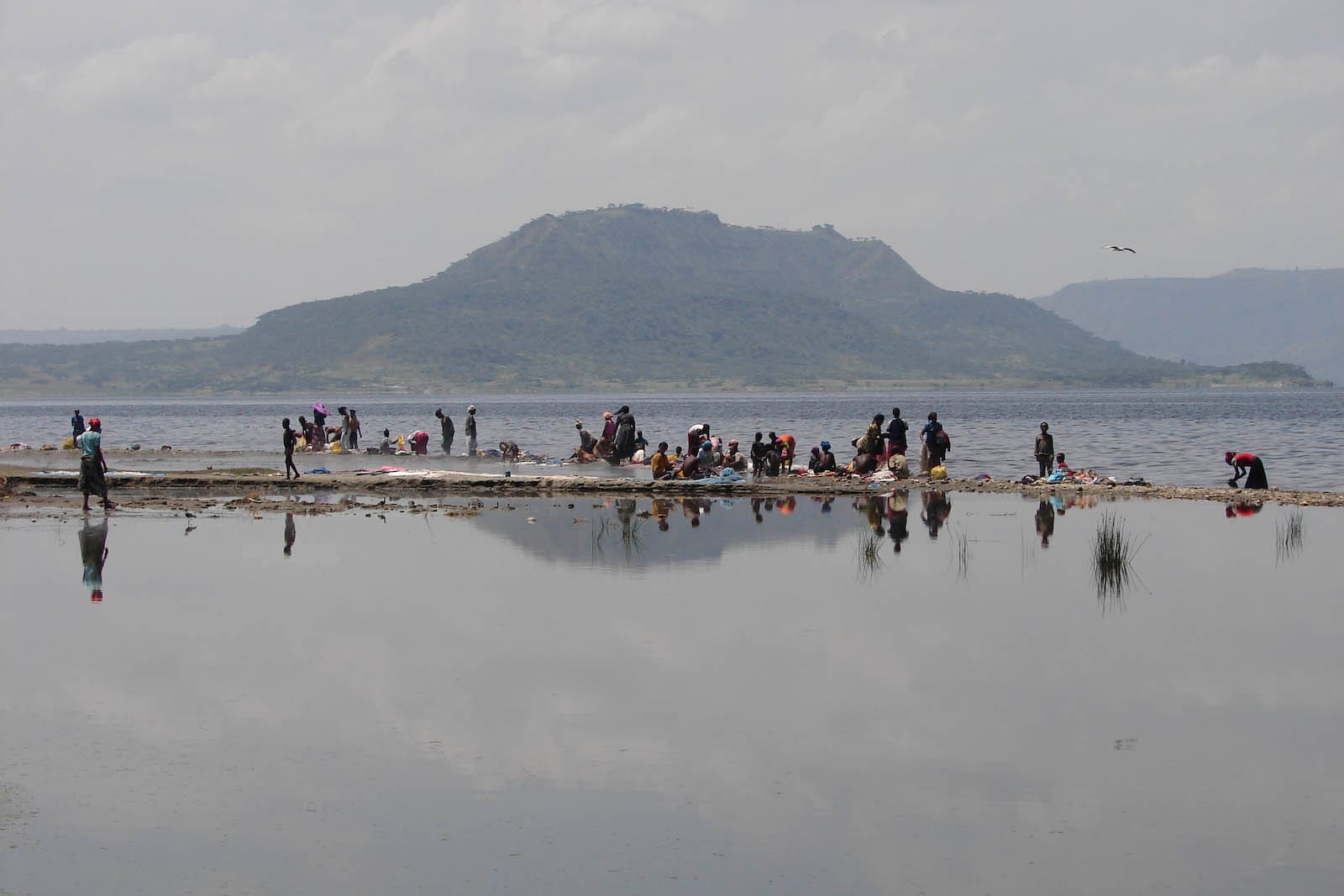 Lake birds, boat access, fish meals, and island stories
